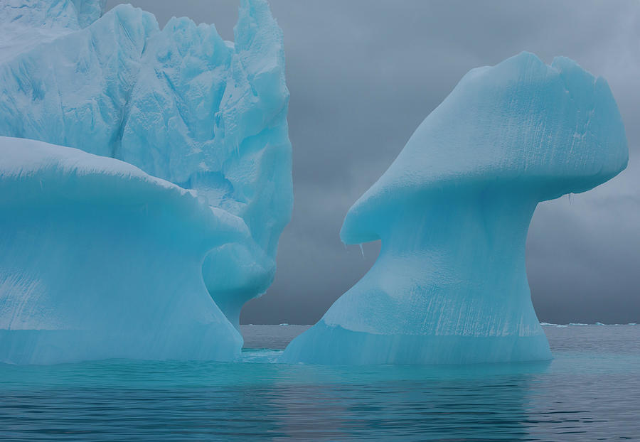 Icebergs With Eroding And Changing Form Photograph by Mint Images/ Art Wolfe