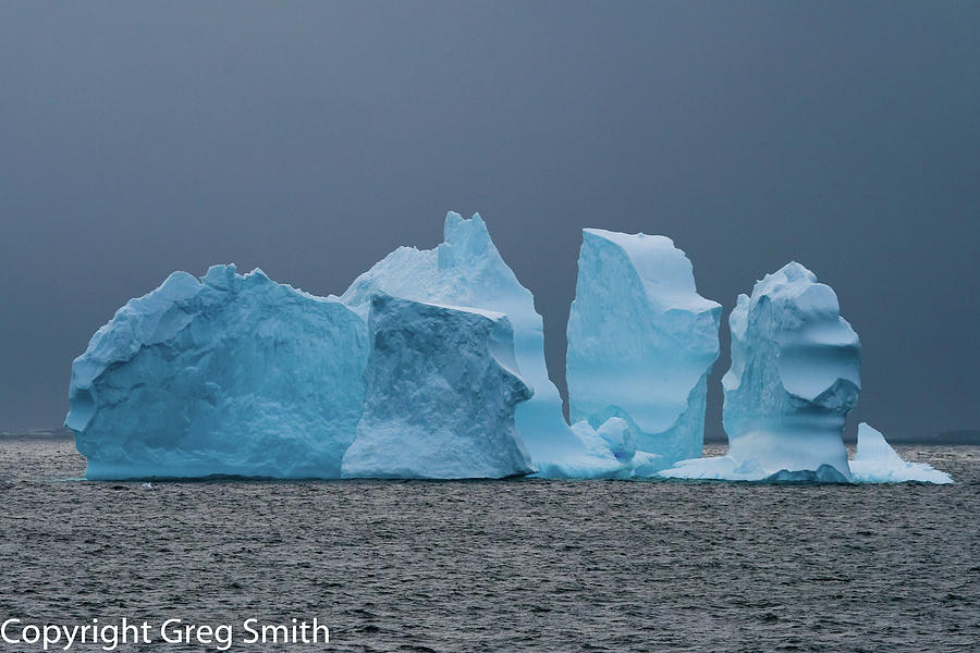 Iceburg near Peterman Island Antarctica Photograph by Greg Smith
