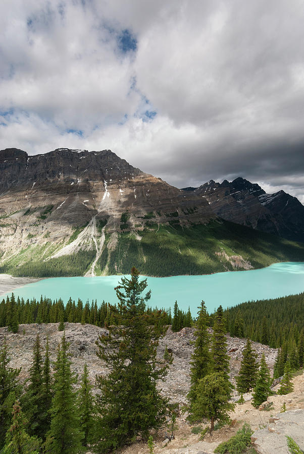 Icefields Parkway, Bow Pass, Peyto Lake Photograph by John Elk Iii