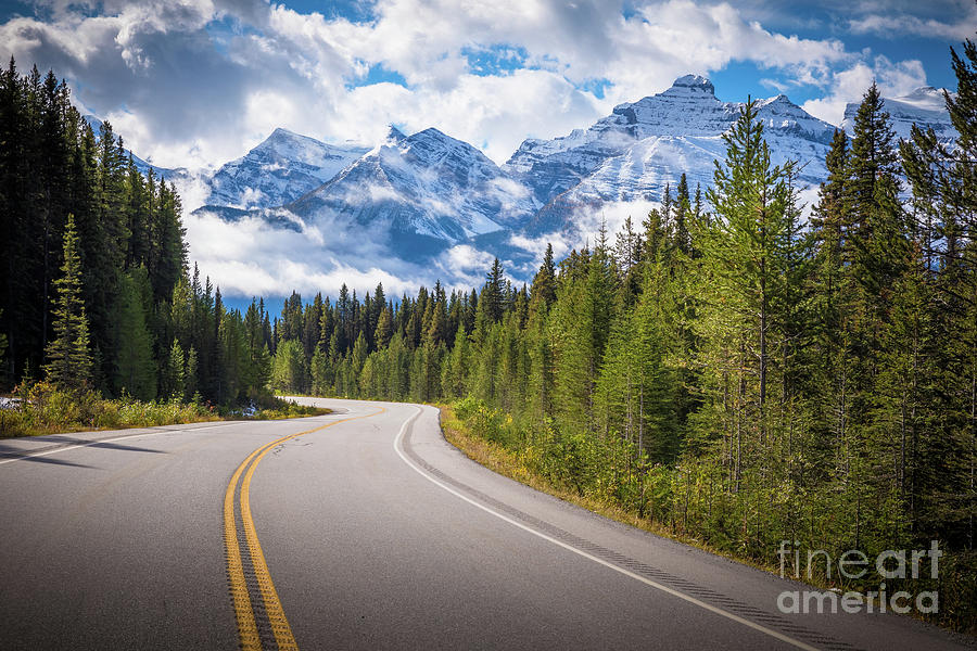 Icefields Parkway Curve Photograph by Inge Johnsson