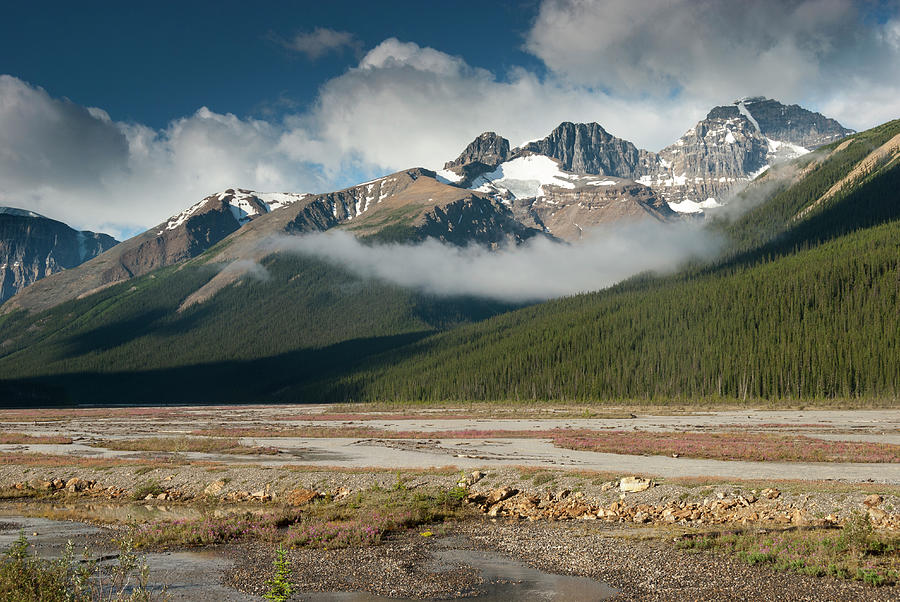 Icefields Parkway Landscape With Photograph by John Elk Iii