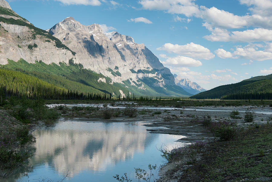 Icefields Parkway, Mistaya River Valley by John Elk Iii