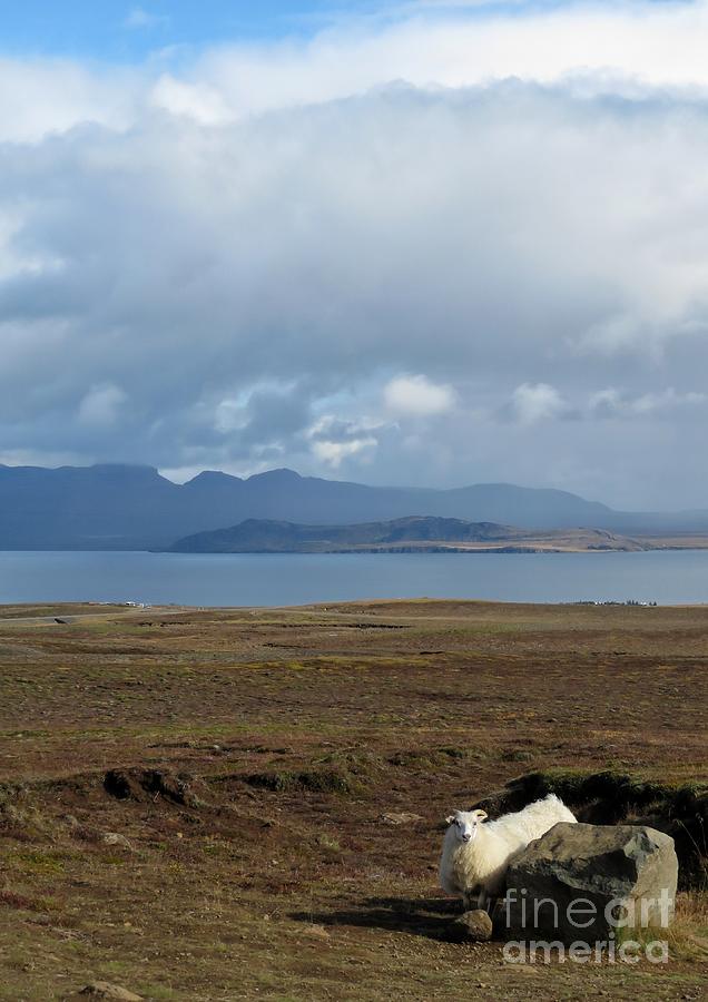 Iceland Vista 1 Photograph by Diana Rajala