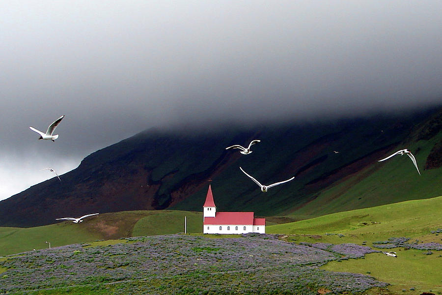 Icelandic Country Church With Gulls Photograph by Photo By Bob Travis