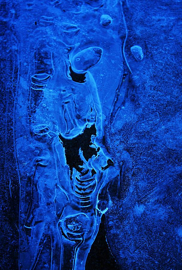 Iceman Photograph by Sean Sarsfield