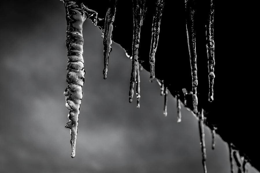 Black And White Photograph - Icicles 01 by Anita Vincze