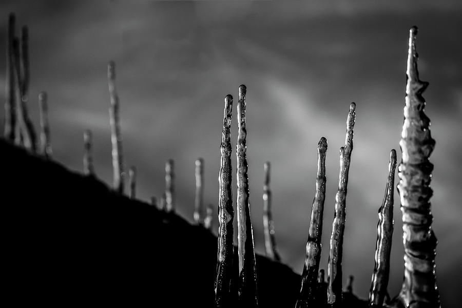 Black And White Photograph - Icicles 02 by Anita Vincze