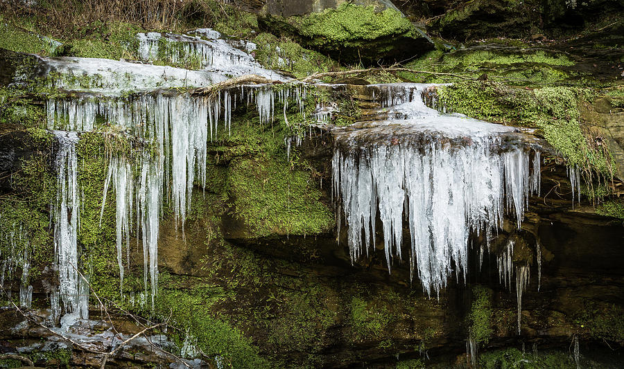 Icicles And Moss Photograph by Randall Evans