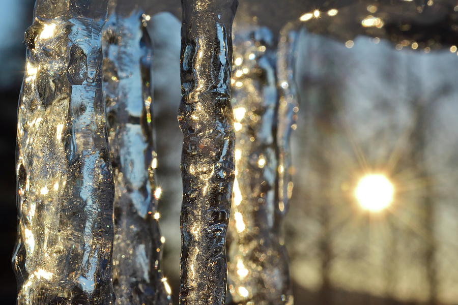 Icicles glittering in the light of the sinking sun Photograph by Intensivelight