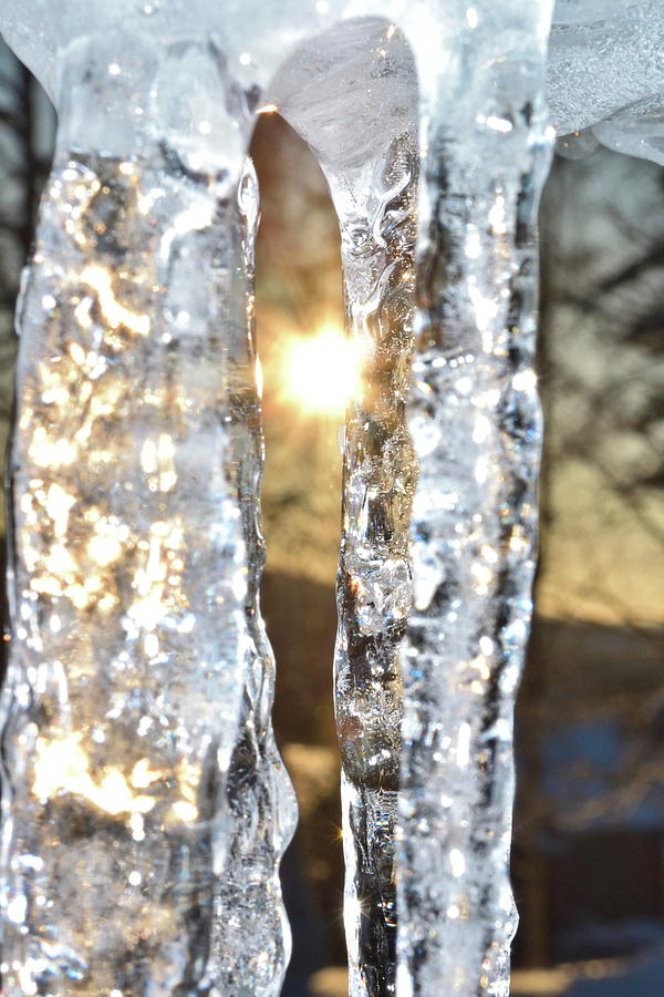 Icicles glowing in the light of the low winter sun Photograph by Intensivelight