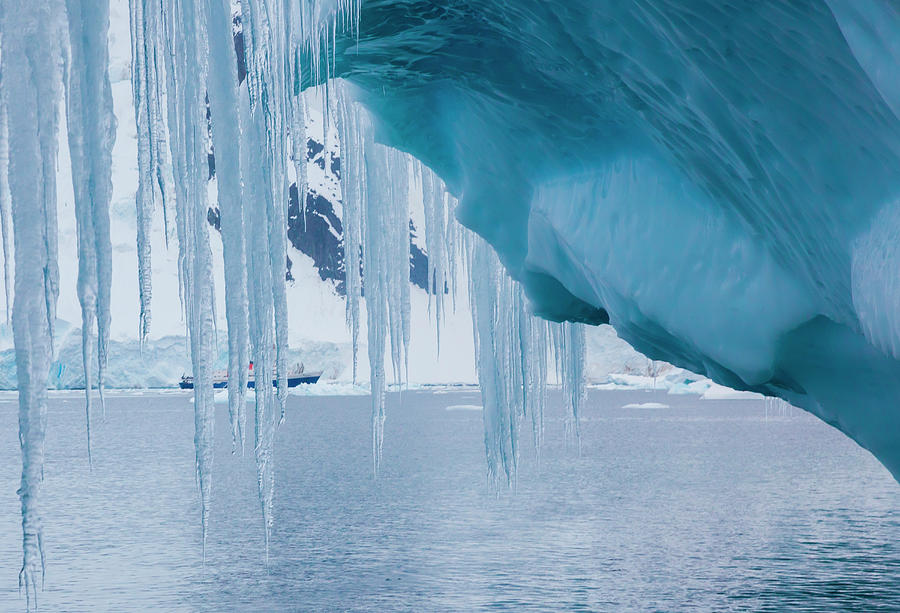 Icicles Hanging From An Iceberg Photograph by Mint Images/ Art Wolfe
