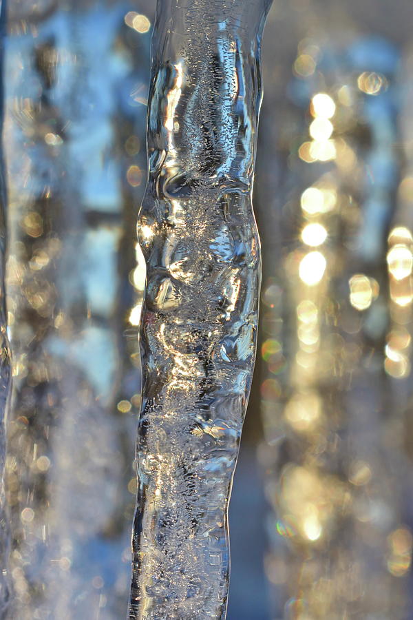 Icicles Illuminated By The Golden Winter Sun Photograph