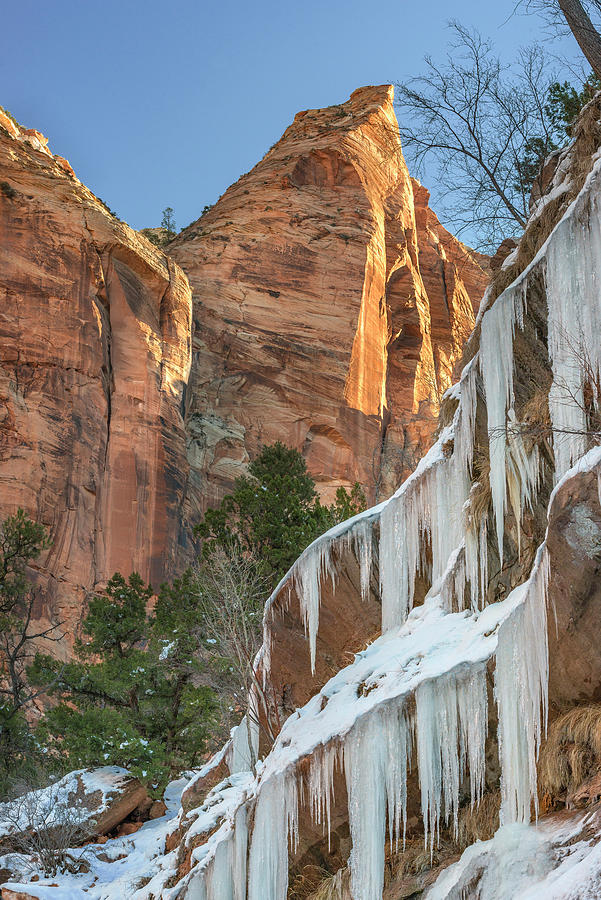 Icicles In Zion Natl Park Photograph by Jeff Foott