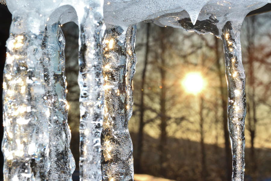 Icicles shimmering in the light of the golden sun Photograph by Intensivelight