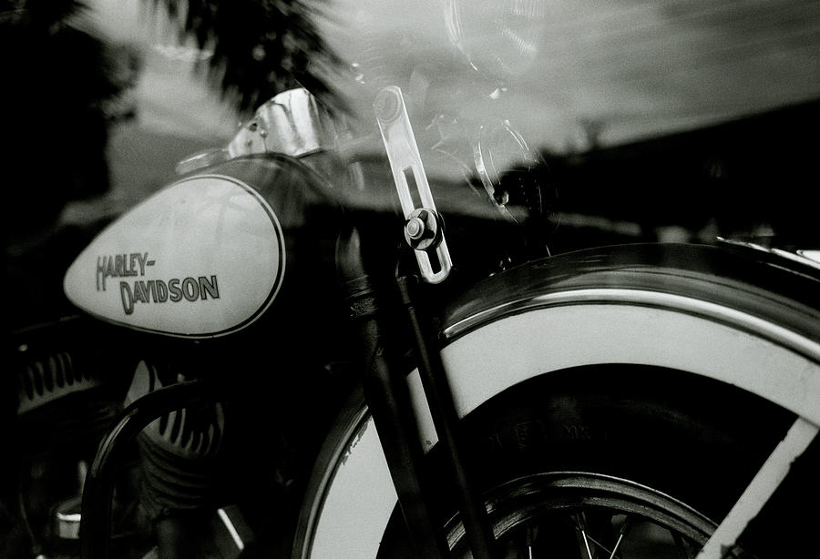 Iconic Harley-Davidson  Photograph by Shaun Higson