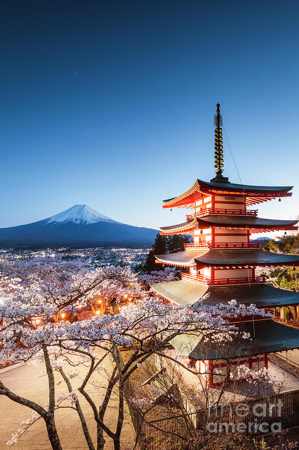 Iconic pagoda during cherry blossom season, Japan Photograph by Matteo Colombo