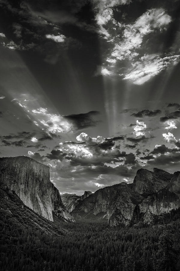 Yosemite National Park Photograph - Icons and Legends by Thorsten Scheuermann