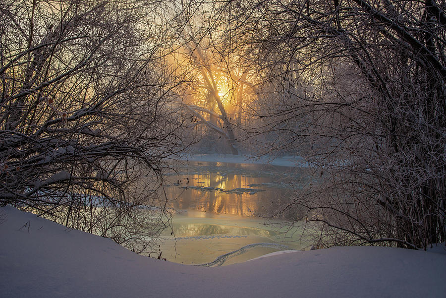 Frozen Silence #1 - Foggy sunrise on Yahara River near Stoughton WI off Stebbinsville road Photograph by Peter Herman