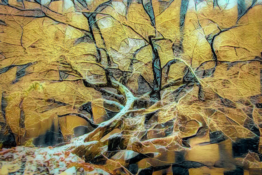 Icy Inspiration Golden Abstract Photograph by Debra and Dave Vanderlaan