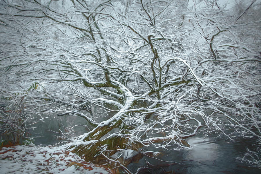 Icy Inspiration in Watercolors Photograph by Debra and Dave Vanderlaan