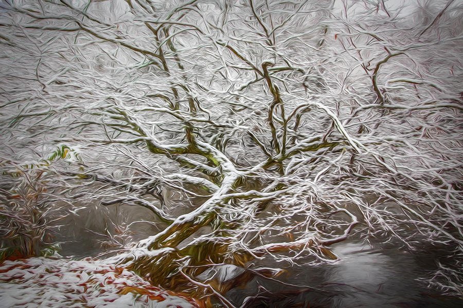 Icy Inspiration Painting Photograph by Debra and Dave Vanderlaan