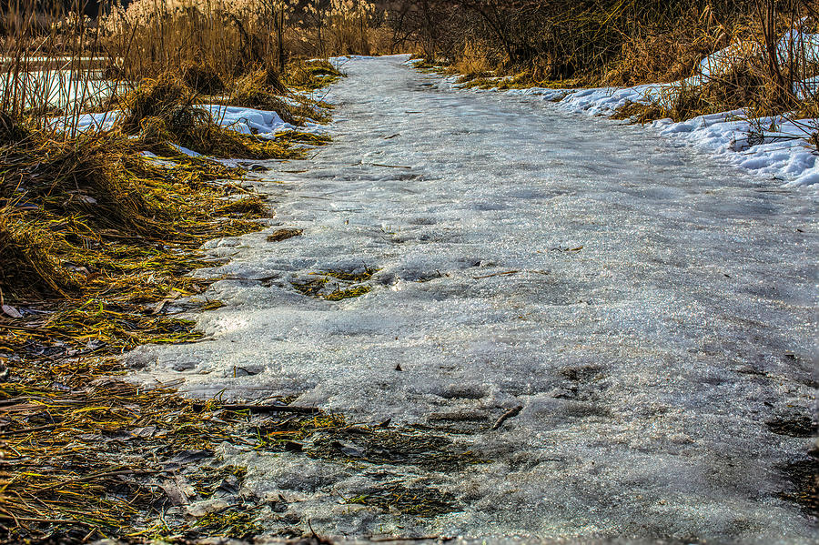 Icy path #i4 Photograph by Leif Sohlman