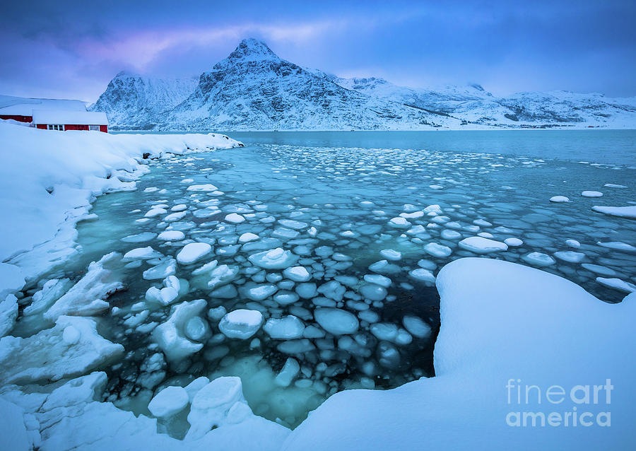 Icy Pool Photograph by Inge Johnsson