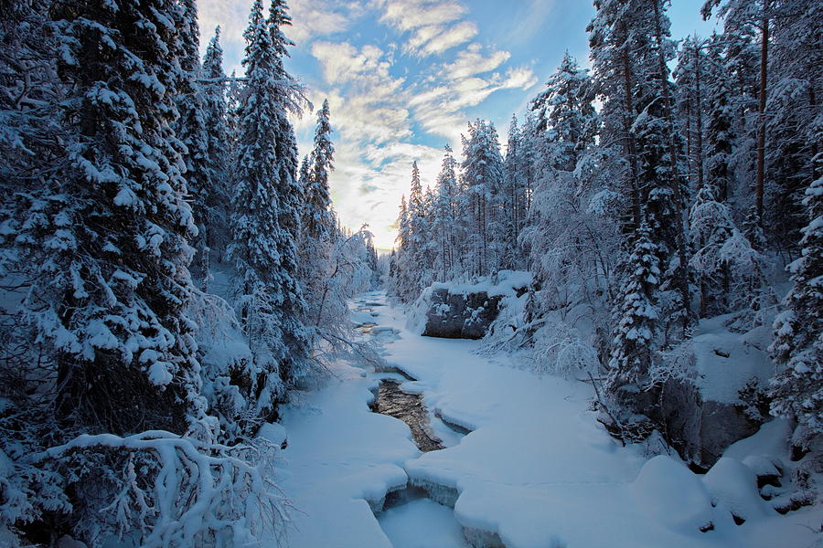 Icy river flowing through snowy forest Photograph by Intensivelight