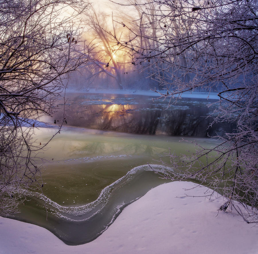 Frozen Silence #2 - Foggy sunrise on Yahara River near Stoughton WI Photograph by Peter Herman