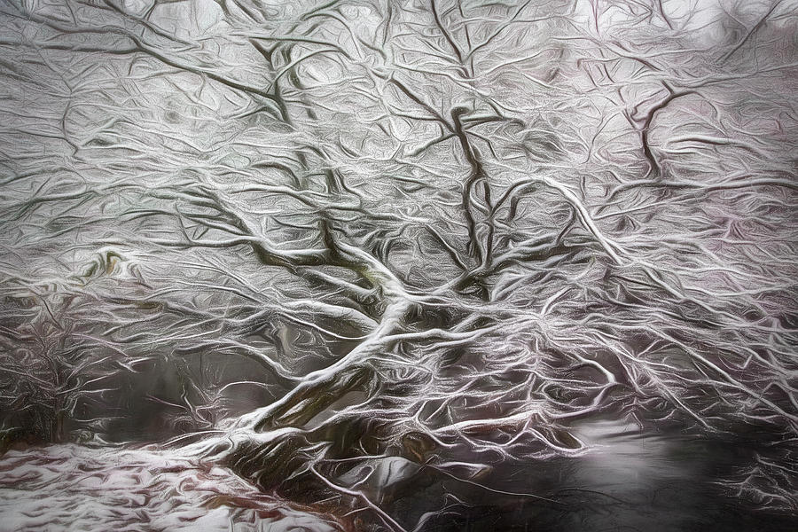 Icy Waves of Inspiration Photograph by Debra and Dave Vanderlaan