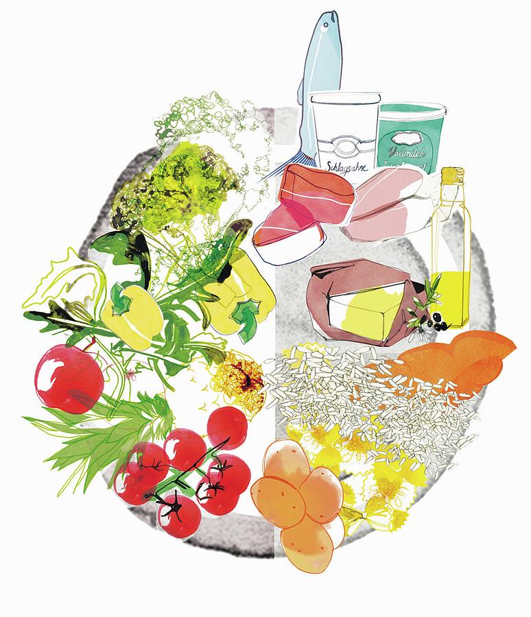Ideal Nutrition Separated On A Plate illustration Photograph by Lulu Jalag