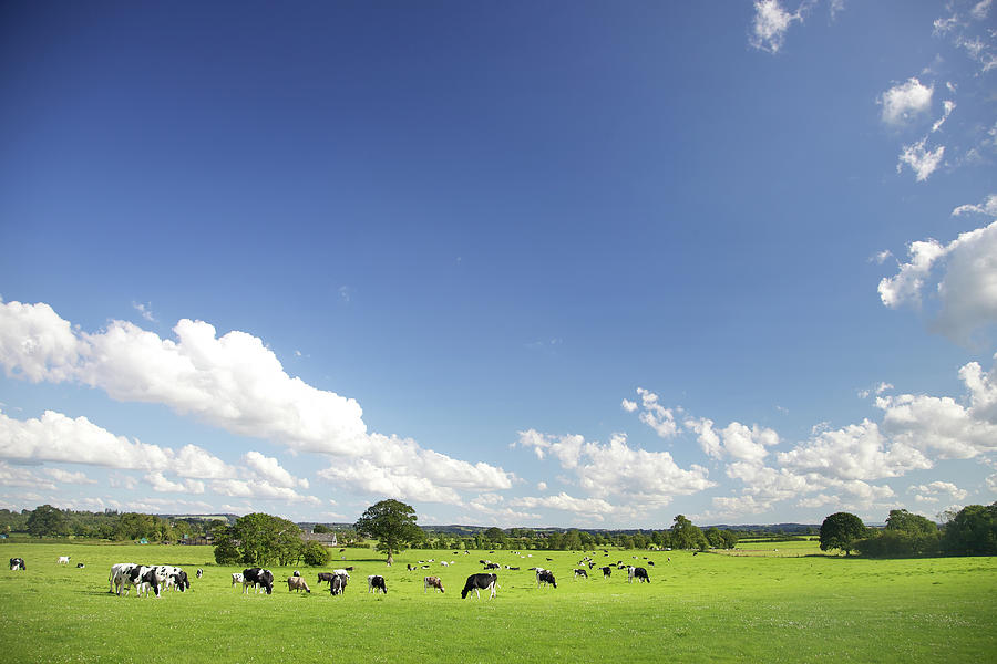 Idyllic Farm Pastures Photograph by R-j-seymour