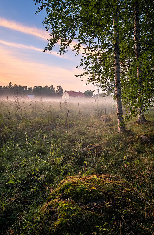 Summer Photograph - Idyllic Farmland View With Mist by Jani Riekkinen