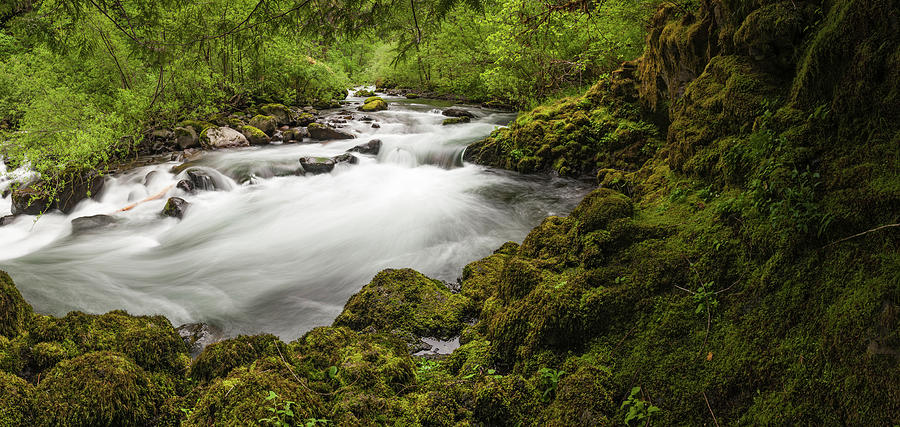 Idyllic Forest River Rushing Through Photograph by Fotovoyager Idyllic Forest River Rushing Through Photograph by Fotovoyager