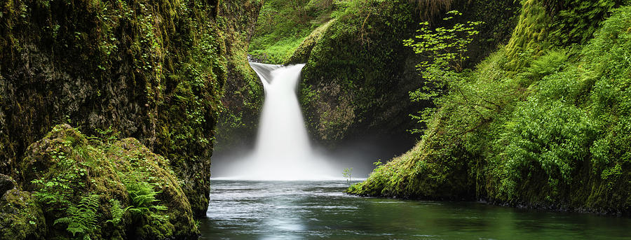 Idyllic Forest Waterfall Punch Bowl Photograph by Fotovoyager