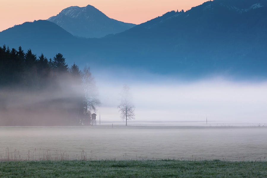 Idyllic Morning Fog On Meadows In Photograph by Ingmar Wesemann