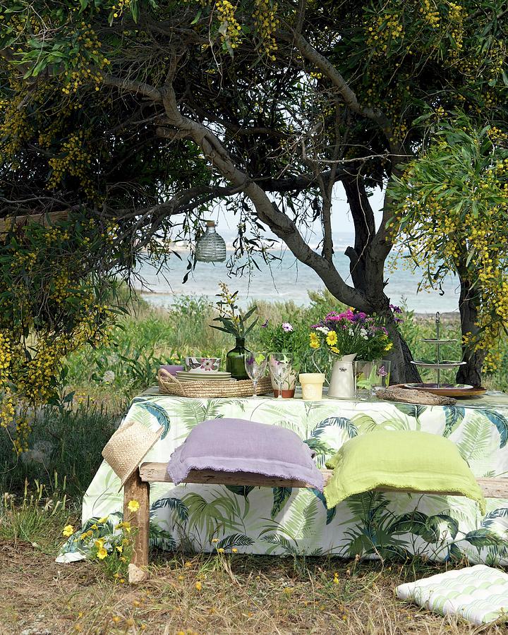 Idyllic, Picturesque Dining Area Under Tree With Sea View And Table Set In Rustic Style Photograph by Winfried Heinze