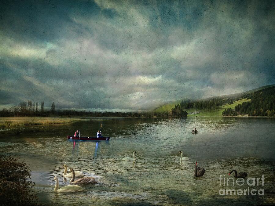 Nature Mixed Media - Idyllic Swans Lake by Eva Lechner