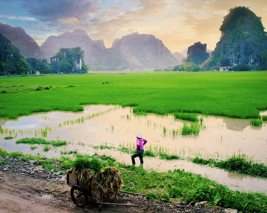 Idyllic Vietnam Countryside Photograph By Shimona Carvalho
