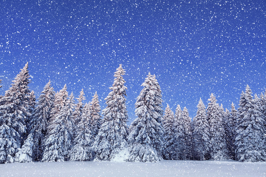 Idyllic Winter Day Photograph by Borchee Idyllic Winter Day Photograph by Borchee