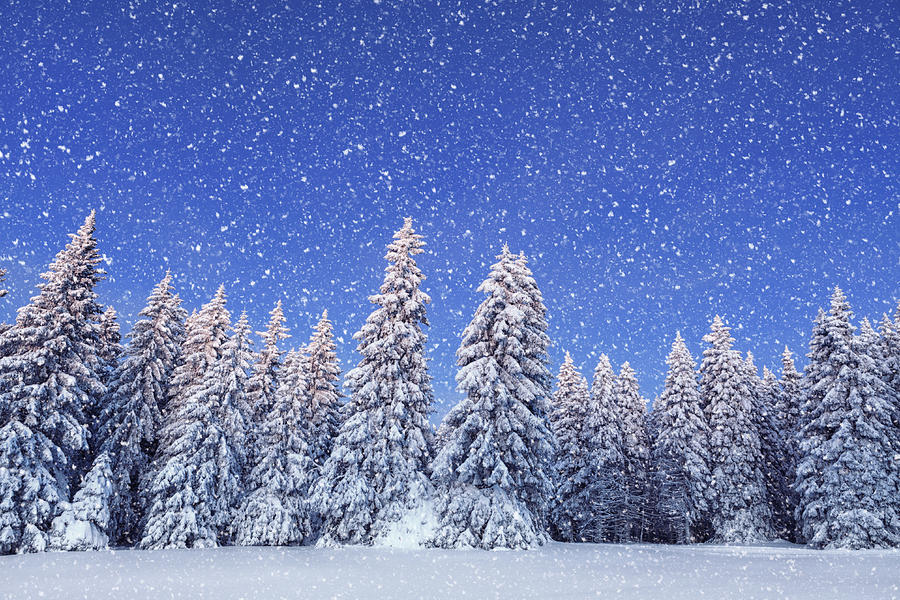 Idyllic Winter Day Photograph by Borchee