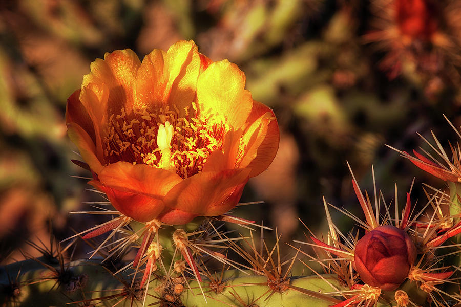 If Only For a Moment by Rick Furmanek If Only For a Moment by Rick Furmanek
