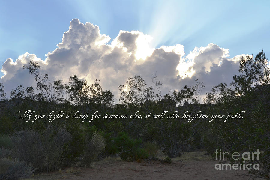 If You Light A Lamp Photograph by Suzette Kallen