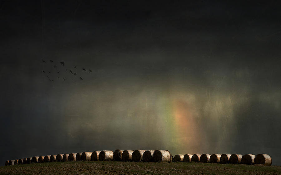 Landscape Photograph - If You Want The Rainbow You Gotta Put Up With The Rain by Yvette Depaepe