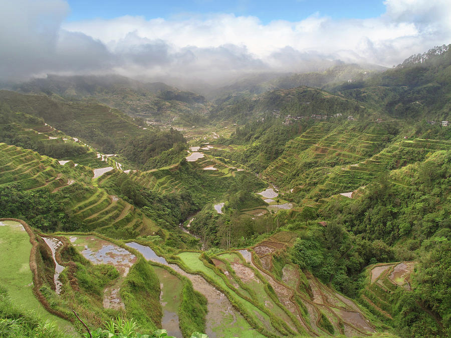 Ifugao Rice Terraces Photograph by Jodie Griggs