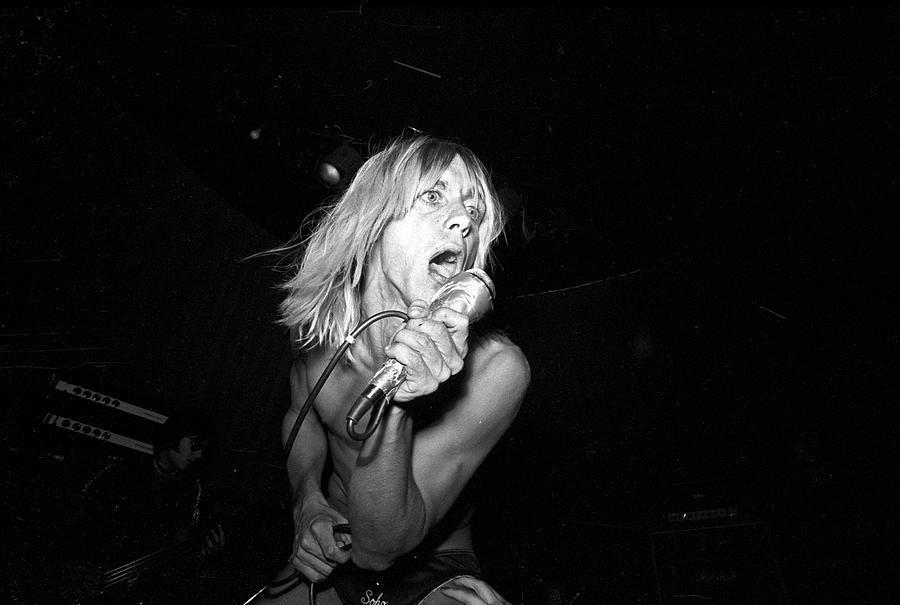 Music Photograph - Iggy Pop Performing At The Whisky by Michael Ochs Archives