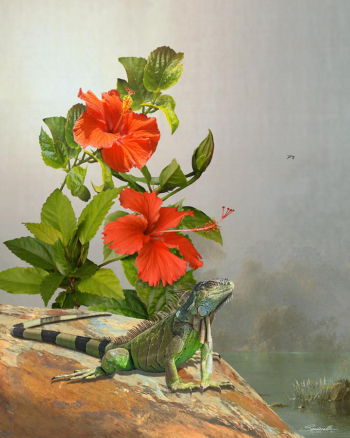 Iguana And Hibiscus Flowers Digital Art by M Spadecaller