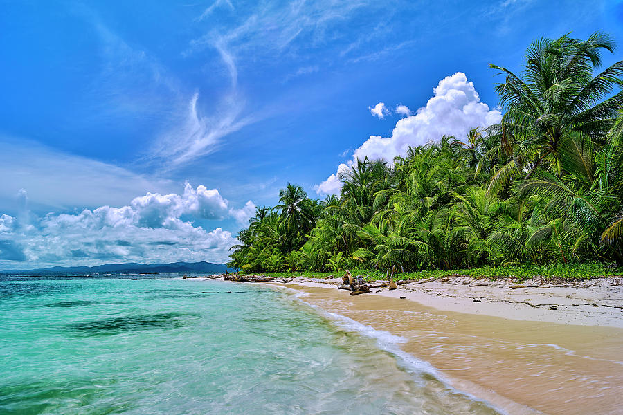 Iguana Island Photograph by Jackson Ball - Fine Art America