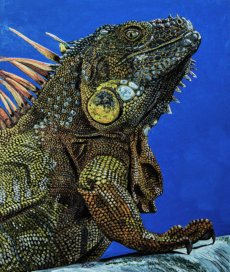 Wildlife Painting - Iguana by Raymond Ore