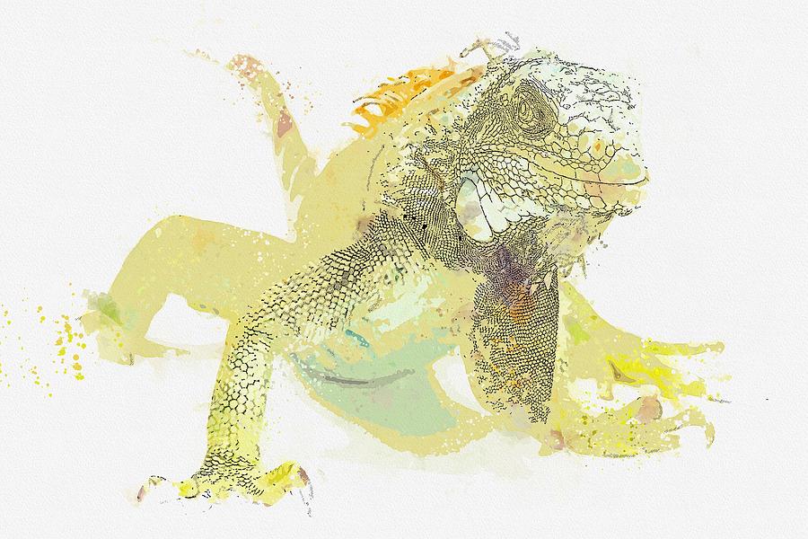 iguana    watercolor by Adam Asar Painting